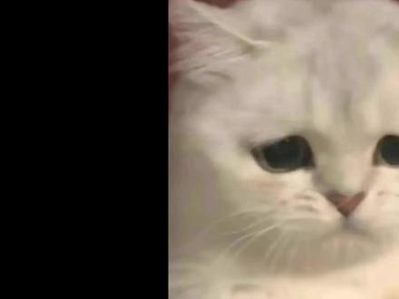 自己的朋友变成混的人 #混的人 #纹身 #吃瓜