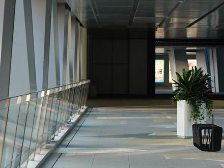 荣耀放大招!这波“指定赢”~#荣耀WIN#荣耀WINRT