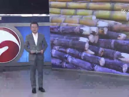 甘蔗出现“红心”干方别吃!