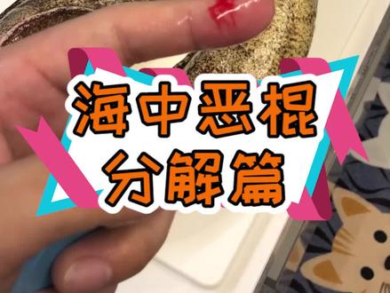 海中的恶棍!走了还能咬人!?#海鳝 #日料 #分解