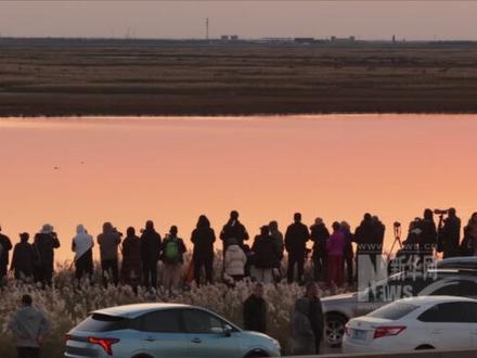 “北冥有鱼,其名为鲲”,东营“鸟浪”让《逍遥游》具象化!最佳观赏时间及观赏提示看这里。@行摄时光 #新华网原创采访 #媒体精选计划