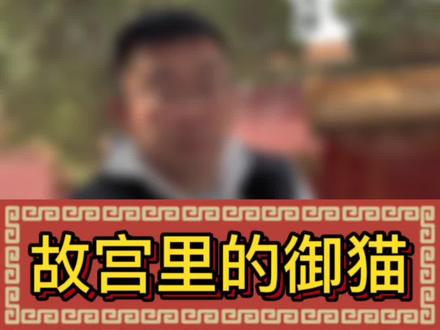 铁打的“御猫”流水的朝廷,皇帝也都争当“铲屎官”!#故宫 #故宫的猫#历史 #旅行推荐官 #涨知识 @抖音小助手 @DOU+上热门