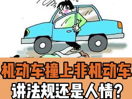 机动车撞上非机动车,讲法规还是讲人情? #交通安全 #交通 #交通事故