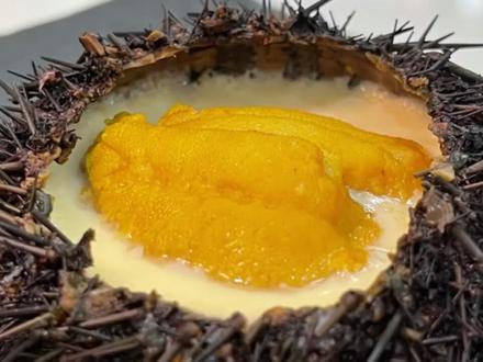 海胆蒸蛋怎么才能做到一目了然! #抖音美食创作人#抖音美食国潮味儿#是家庭主夫也是美食达人#海胆蒸蛋