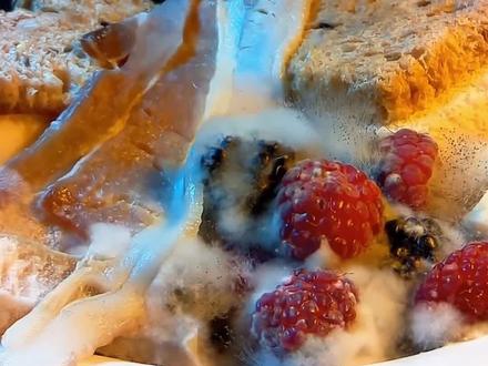 如果我们吃下霉菌会怎么样?#dou出新知 #这个视频有点料