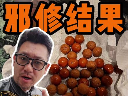 揭晓核桃邪修盘玩效果#真实生活分享计划 #文玩邪修 #文玩核桃 #阿古德 #藏传文玩