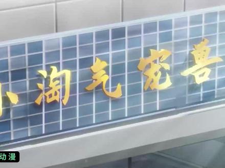 13小时 神宠 #二次元动漫#国漫推荐