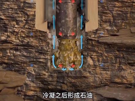 石油到底是怎样形成的?#科普 #涨知识