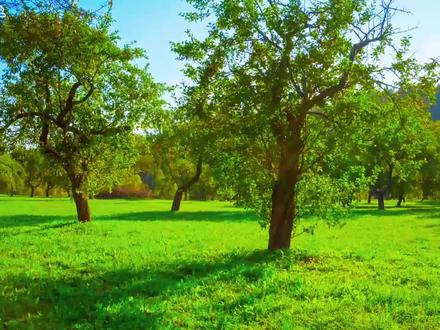 《咏春》完整版 演唱:七多组合 #别辜负眼前季节 #咏春 #七朵组合 #古风歌曲 #国风歌曲