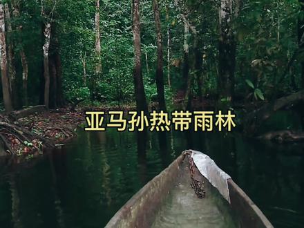 全球最美的100个地方之亚马孙热带雨林 #探秘 #生态环境 #大自然 #聆听大自然 #旅游攻略 #旅行 #科普一下 #自然风景 #原创视频