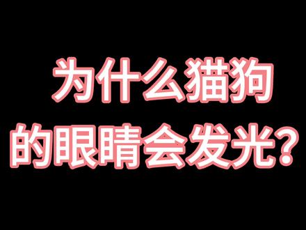 为什么猫狗的眼睛会发光?是生病了吗?#科学养宠攻略 #养猫经验分享 #萌宠百科 #抖音宠物医生 #