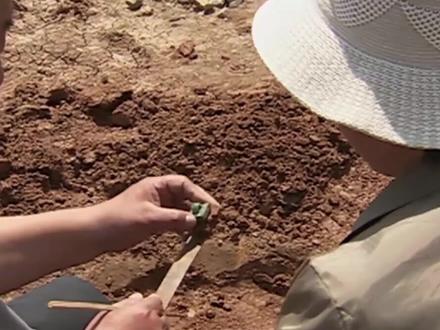 汉王兵俑8:楚王之墓重见天日,现场出土数枚印章,引起专家注意#猎奇 #考古 #古墓