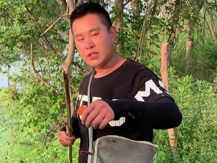 钓甲鱼详细教程,只是分享自己的钓法,不喜勿喷!^_^