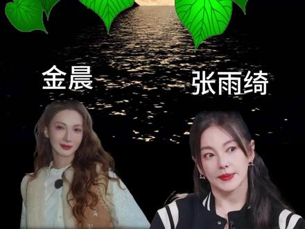 演员金晨疑似肇事逃逸, 张雨绮代孕风波