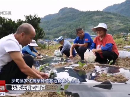 今日新闻播报稿1分钟 a8d6a197d49c6ce89595a83c3a655341~tplv-dy-resize-origshort-autoq-75:330.jpeg?x-expires=1995321600&x-signature=VgvNShCoRN2yavExXlTIzcvbz3c%3D&from=3213915784&s=PackSourceEnum_AWEME_DETAIL&se=false&sc=cover&biz_tag=pcweb_cover&l=202303280858581073292D10F4372B0D1B