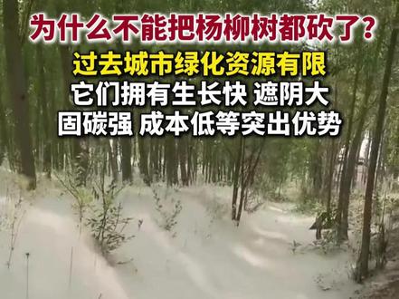 每年四月,北方多地进入“飞絮季”让不少人鼻痒、眼红、喷嚏不断,为什么不能把杨柳树都砍了?
