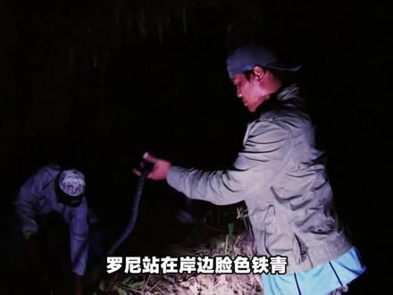 被吉尼斯认证过人类捕捉到最大的咸水鳄——洛龙 #鳄鱼 #吉尼斯世界纪录 #科普 #洛龙
