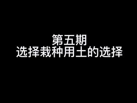 全网最详细的黄栌生桩栽种技巧!#盆景 #黄栌