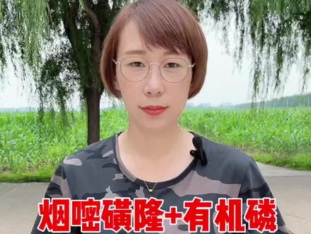 烟嘧磺隆有机磷使用注意事项#农药 #除草剂 #农业知识 #新农人计划2022