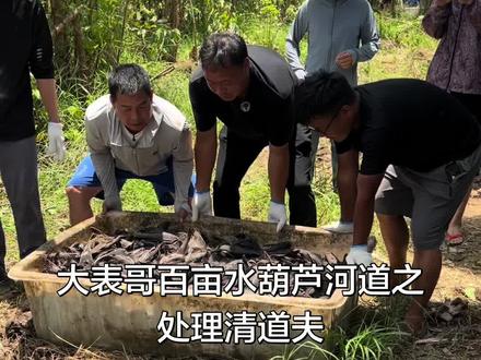 #外来入侵物种 #三农 别问我们为什么要用人工填土