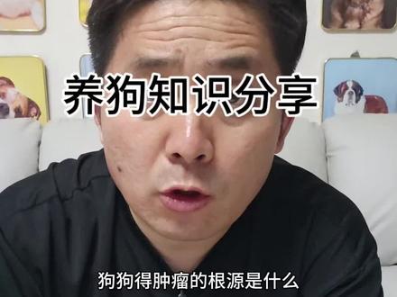 养狗知识分享#宠物知识小课堂
