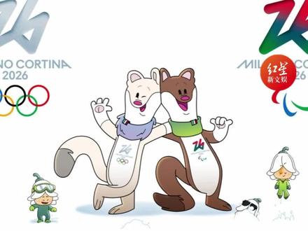 冬奥会观赛攻略有,看完感觉要进化掉睡眠!#米兰冬奥会 #中国队 #运动员 #米兰冬奥会观赛攻略