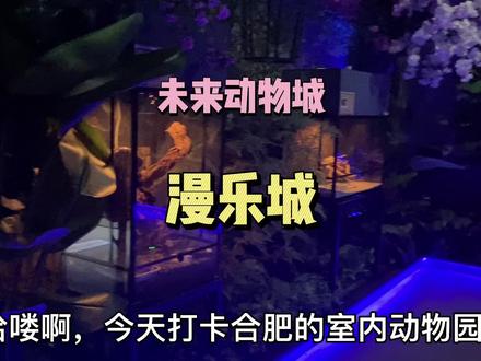 #合肥 的室内动物园你来逛过嘛!这些小动物都太可爱了吧#探店 #动物乐园 @抖音小助手