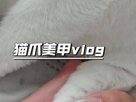 自制猫爪美甲!!上手超可爱!喜欢~ #美甲vlog教程 #猫爪美甲教程 #美甲vlog #diy美甲 #猫爪美甲