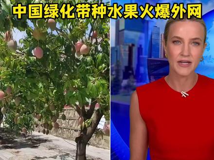 中国绿化带种水果火爆外网 #硬核深度计划 #外国人看中国 #绿化带