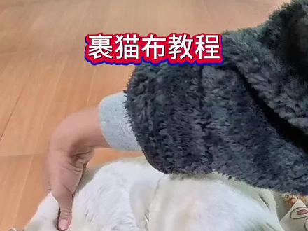 裹猫布教程,邪恶白二零裹猫条。 #裹猫布 #一种很新的撸猫手法 #被迫营业的猫猫 #我和我的猫 #猫咪的日常
