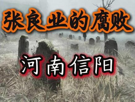 《张良业》的腐败:浉河区吴家店镇社会事务办原主任 #反腐 #真实案件 #我的观影报告 #浉河区
