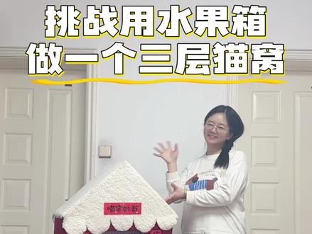 水果筐爆改猫窝#自制猫窝 #diy猫窝