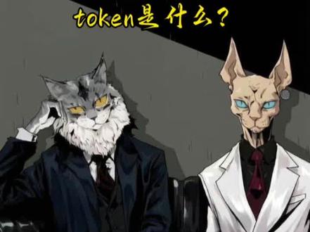 #token是什么意思 #token出海 token是否等于电力的虚拟资产