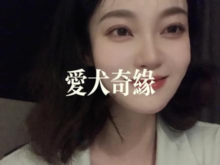 世界破破烂烂,小狗缝缝补补,这个世界不能没有小狗!#娜扎新片狗狗互动太戳了