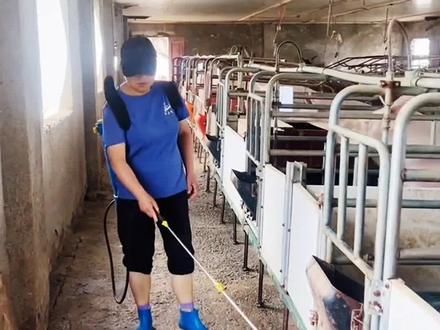 过硫酸氢钾的4个正确用法,
和4个错误用法,养猪人别用错了#过硫酸氢钾 #猪场消毒 #猪场消毒剂过硫酸氢钾