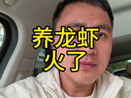 养龙虾是什么,为啥突然火了