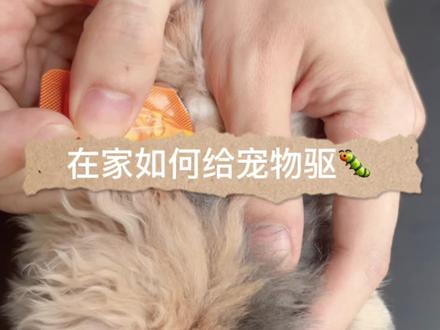 是不是很简单?宝子们学会了嘛?#科学养宠攻略 #宠物知识 #猫猫#狗狗 #爱滴克体外驱虫