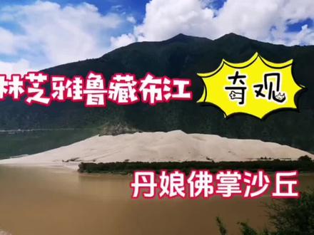林芝雅鲁藏布江奇观,丹娘佛掌沙丘,怎么形成的?#自驾游 #318川藏线 #西藏