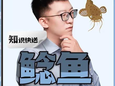 鲶鱼,吃屎长大的?真有!但是别担心...#涨知识 #鲶鱼