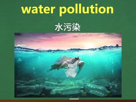 #英语单词
pollute 污染
pollution 污染 污染物
air pollution 空气污染
water pollution 水污染
noise pollution 噪音污染
plastic pollution 塑料污染
environmental pollution 环境污染
Humans has polluted the oceans.
I'm trying to readuce pollution.