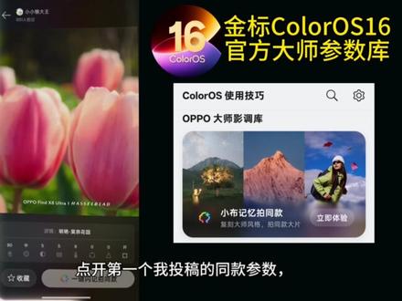 不用到处找参数,OPPO自带全套影调库#ColorOS #ColorOS16 #大师模式 #OPPO #一加
