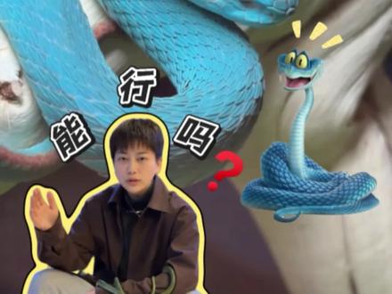 谁能不爱盖瑞.一条蛇呢?#疯狂动物城 #宠物蛇#海岛蓝竹 #竹叶青 #爬宠店日常