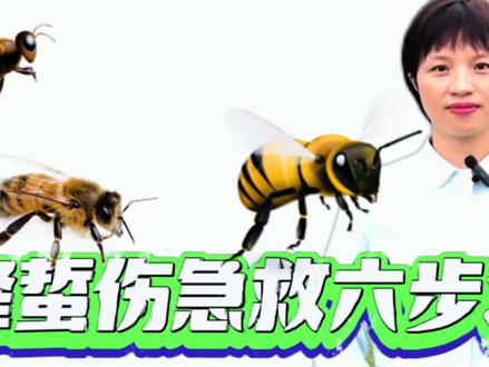 蜂蛰伤后果很严重,甚至会致命!当被蜂蛰伤时,该如何进行急救处理?#健康科普