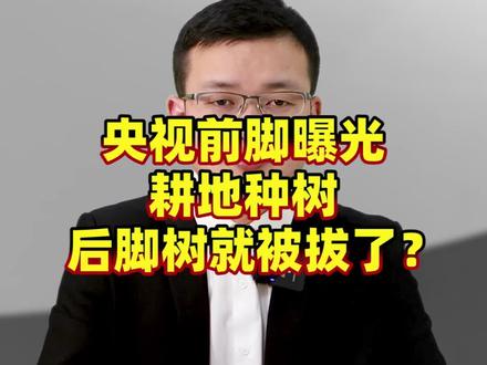 央视前脚曝光耕地种树,后脚就被拔了?#知识大拜年 #耕地