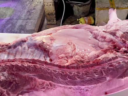 看完视频就知道雪花肉是在猪身上哪个部位啦!