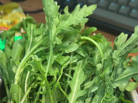 啊?!芝麻菜竟然就是臭菜! #沙拉 #东北菜 #减脂