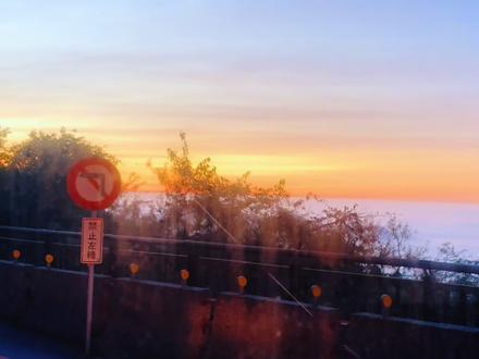 #纪录美好生活
阿里山轻松游攻略:不费腿、不早起也能看美景拍美照
一、前期准备
1. 住宿:前一晚住嘉义市区,避免早起赶车。
2. 交通票:
- 上山小火车:每天9点、10点各一班,提前14天抢票,没抢到就提前3天多刷,大概率捡漏;小火车复古感拉满,拍照出片,车程约3小时,错过9点班可改10点,但可能没座位,运气好能碰到早下车的乘客。
- 下山巴士:提前1天买,去全家柜台领预留座位票,最晚一班5:10,别玩太晚,不然可能要站2小时盘山公路下山。
二、上山行程(小火车篇)
1. 拍照tips:过弯时能拍小火车林间穿梭的画面,抓好时机(过弯少、仅几分钟);坐在靠窗位置,光线好,方便和复古内饰合影。
2. 特色体验:列车员会讲解沿途风景,还会提醒和沿线居民打招呼;偶遇中老年人旅游团,可和阿公阿嬷聊天,行程不无聊。
三、阿里山游玩(沼平站下车后)
1. 推荐路线:徒步逛神木群,步道多为平路,不费腿;下午阳光好时拍林间照片,阳光透过树叶洒下超治愈,千年神木自带“神性”,拍照很出片。
2. 注意事项:控制游玩时间,别错过5:10的下山巴士。
四、下山&返程
1. 惊喜彩蛋:下山时可能碰到云海日落,超美,但需提前查天气、碰运气。
2. 返程:从阿里山回嘉义后,可坐高铁去其他地方。