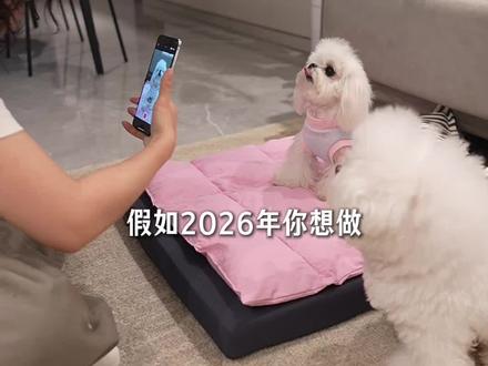 假如你从1月1号开始做“宠物博主” 请立刻收藏这份28天起号日历,听话照做!一个月后你会来感谢我的
#宠物博主#宠物博主怎么做 #宠物赛道#宠物自媒体 #凡凡宠物博主 #宠物赛道