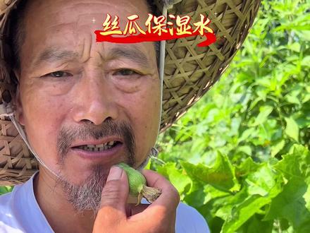 丝瓜妙用好处多。#我的乡村生活 #丝瓜