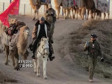 东天山来的骆驼队到达宁夏同心 11月20日傍晚6时左右,当夕阳西下,驼铃声声响起时,东天山来的骆驼队抵达了宁夏同心县河西镇。据悉,8月22日,新疆哈密巴里坤县,33峰骆驼、3匹骏马、32位赶驼人,组成了这支古老的队伍。他们沿着丝绸之路的遗痕,向着东方缓缓前行。#东天山来的骆驼队到达宁夏同心 #东天山来的骆驼队 #吸睛宁夏等你上分 #丝绸之路